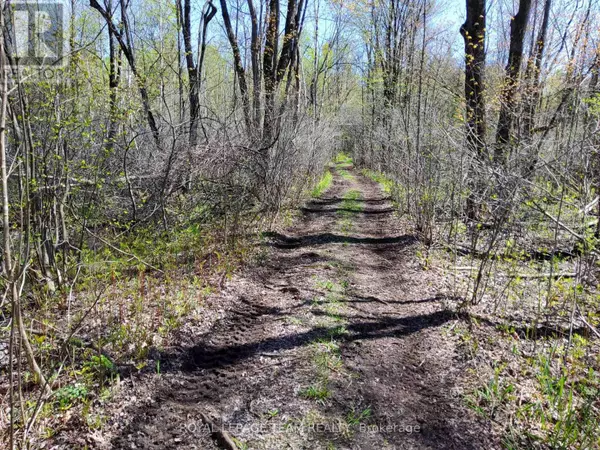 0, ON K0G1T0,0 TOTEM RANCH ROAD