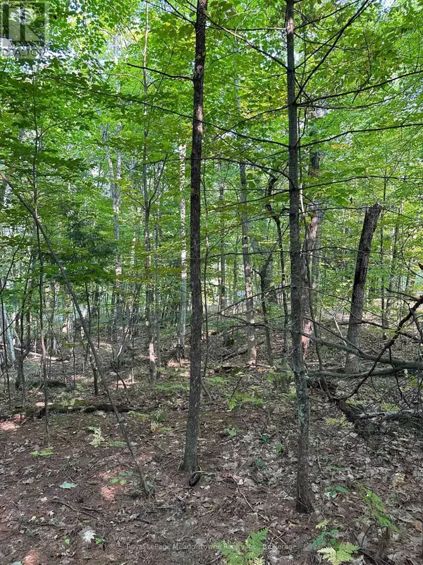 Muskoka Lakes (medora), ON P0B1J0,1000 ISLAND PARK ROAD