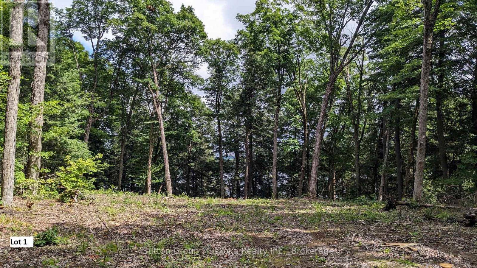 Lake Of Bays (sinclair), ON P1H2J6,LOT 1 ESIG LANE