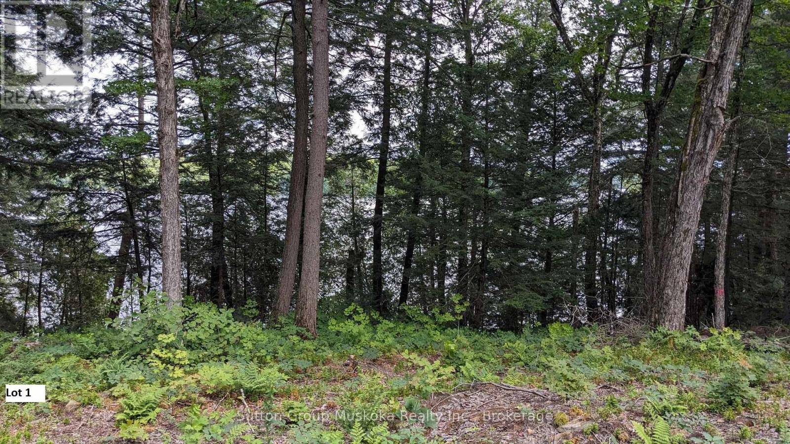 Lake Of Bays (sinclair), ON P1H2J6,LOT 1 ESIG LANE