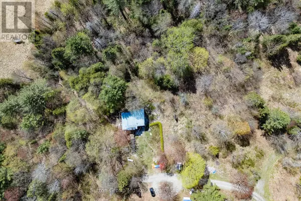 1667 PAINT LAKE ROAD, Lake Of Bays (ridout), ON P0A1E0