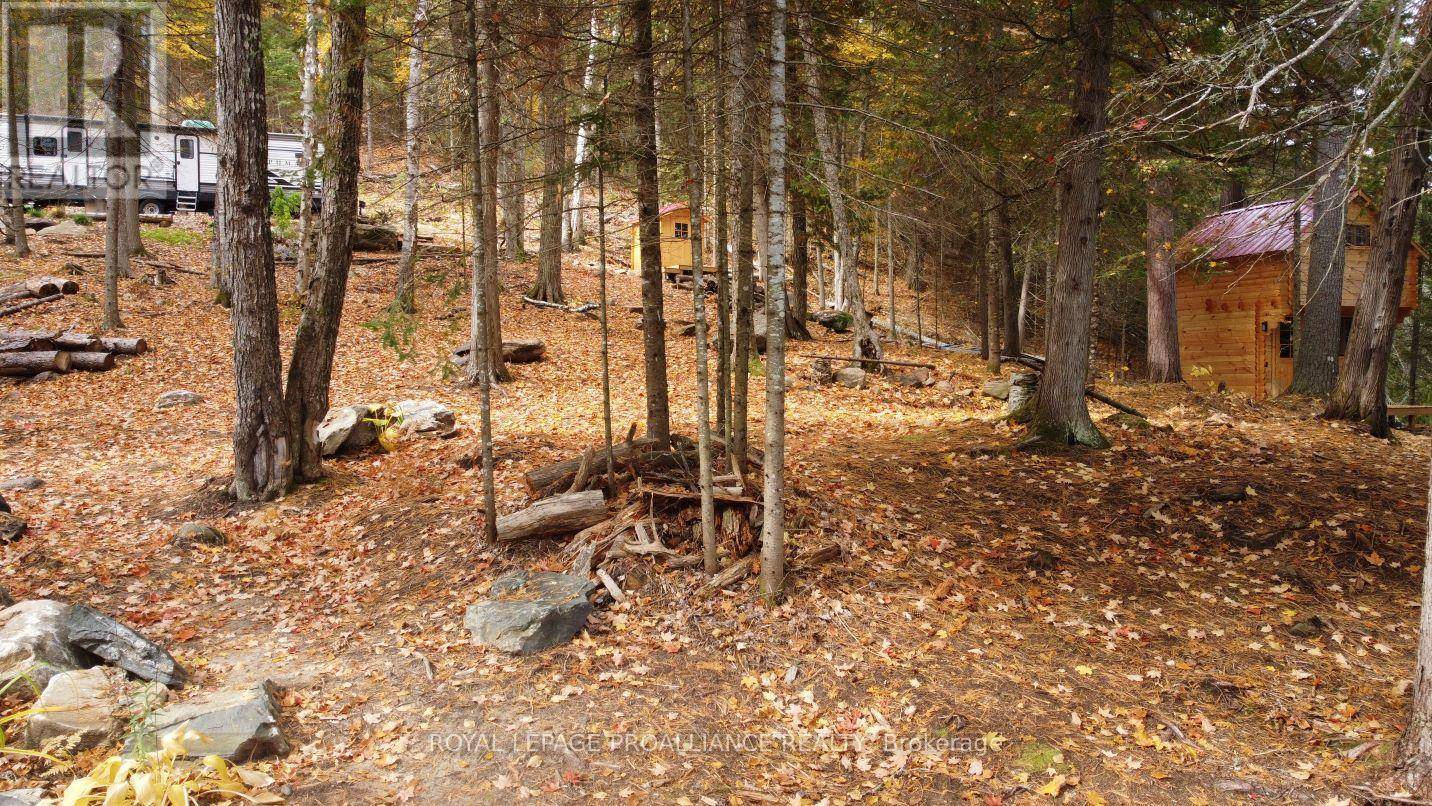 Addington Highlands (addington Highlands), ON K0H1L0,22202 HIGHWAY 41