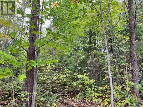 Madawaska Valley, ON K0J1B0,LOT 37 YANTHA CRESCENT