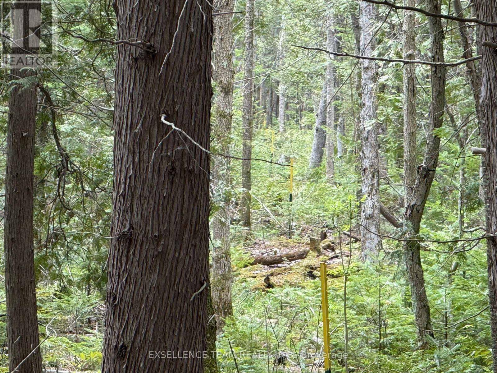 North Glengarry, ON K0C1A0,000 KENYON DAM ROAD S