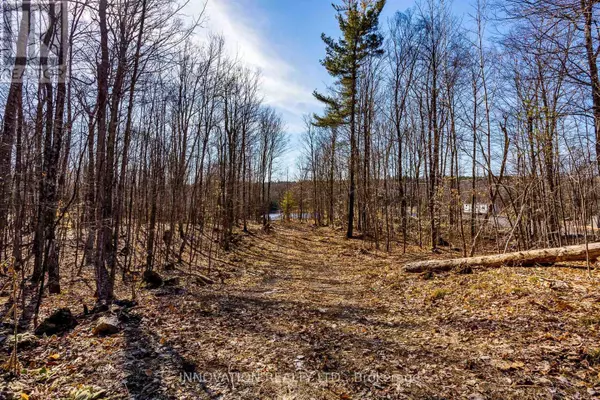 Lanark Highlands, ON K0A3L0,211 LACOURSE LANE