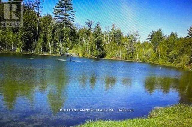 Alnwick/haldimand, ON K0K1M0,248 Pinnacle Hill RD Northwest #Lot 228