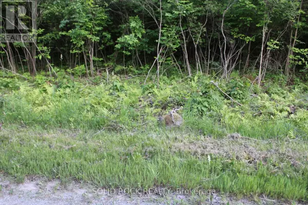Leeds And The Thousand Islands, ON K0E1N0,133 WEBSTER ROAD