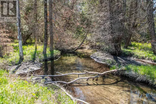 P/L35 CON 5 BULL ROAD, Alnwick/haldimand, ON K0K1C0