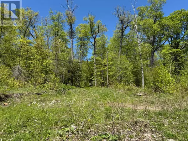 Dysart Et Al (havelock), ON K0M1S0,2612 WILKINSON ROAD