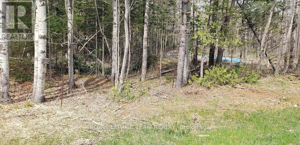 000 BURNSTOWN ROAD W, Mcnab/braeside, ON K0A3L0