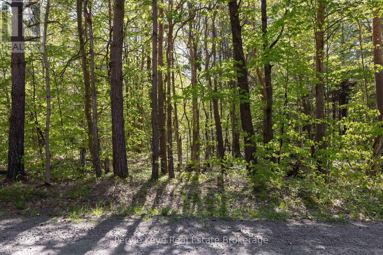 Muskoka Lakes (monck (muskoka Lakes)), ON P1L1X4,N/A HOUSTON ROAD