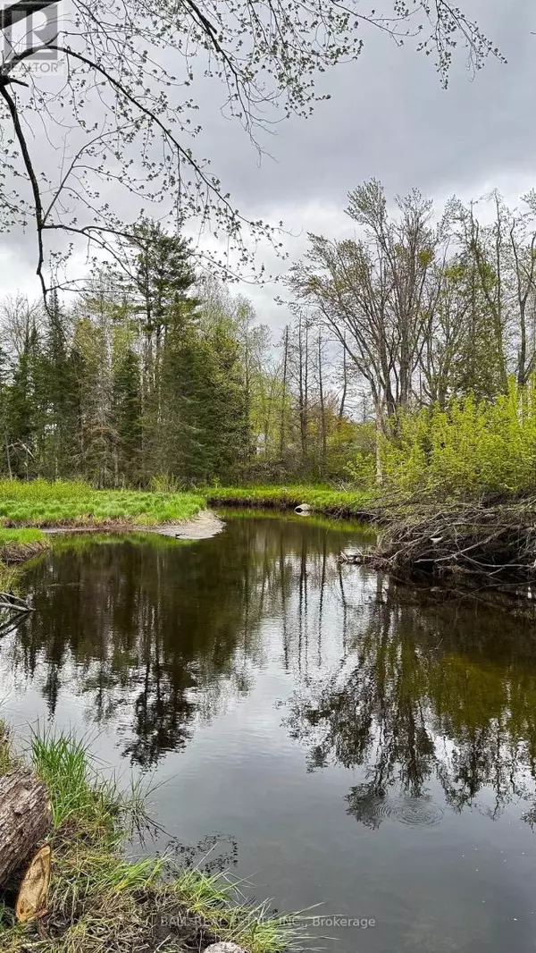 North Kawartha, ON K0L2H0,2348 NORTHEYS BAY ROAD