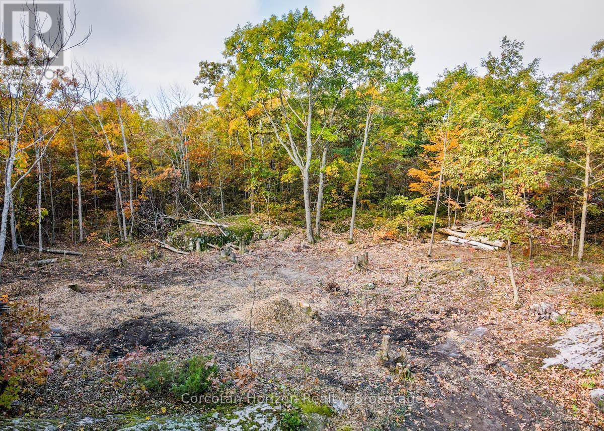 Georgian Bay (baxter), ON L0K1S0,87 CORRIEVALE RD #Lot A
