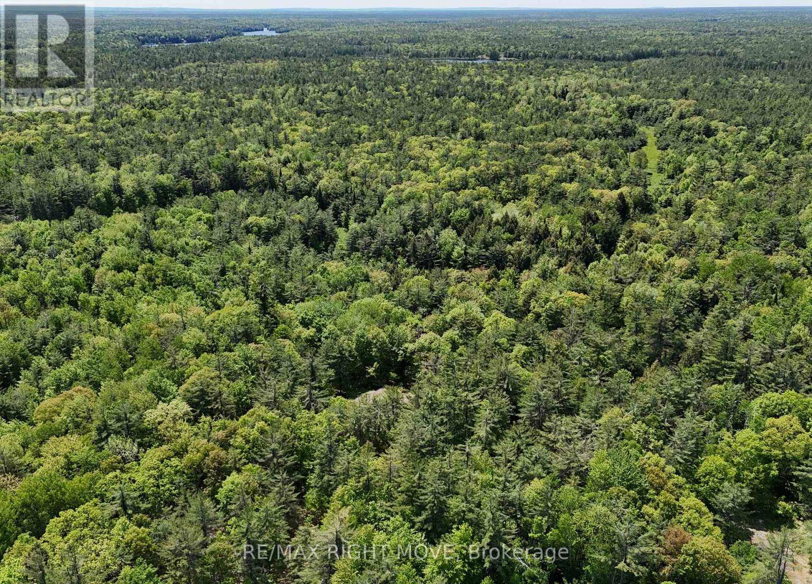Gravenhurst (morrison), ON P0E1G0,2159 SOUTHWOOD ROAD