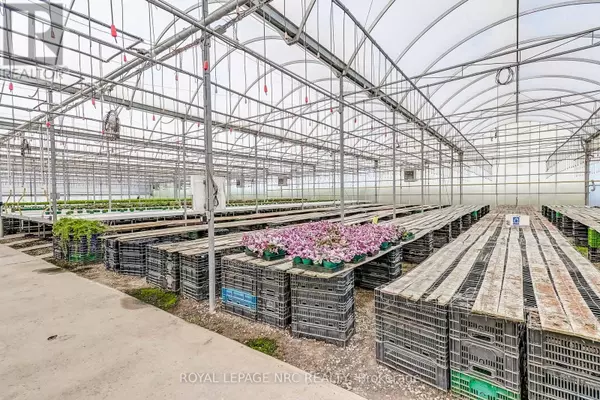 Niagara-on-the-lake (rural), ON L0S1S0,430 CONCESSION 7 ROAD