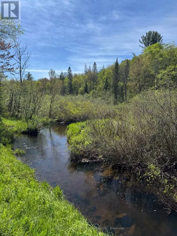 Lake Of Bays (mclean), ON P0B1A0,1438 ECHO LAKE ROAD
