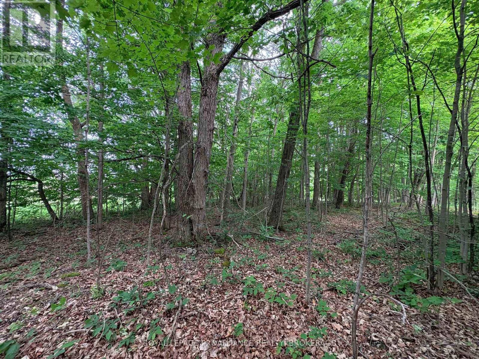 Frontenac (frontenac South), ON K0H1V0,LOT 3 JAMIESON ROAD