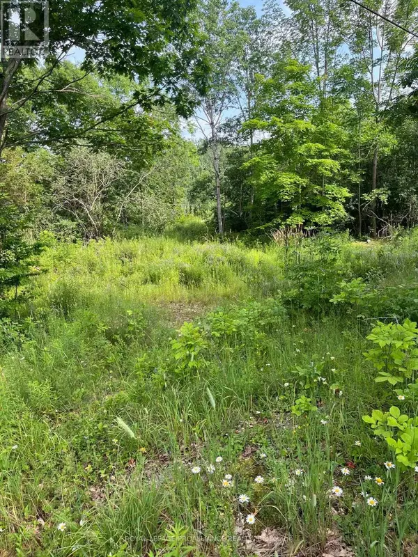 Rideau Lakes, ON K0G1X0,PTLT14 CON 3