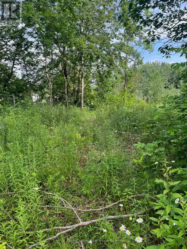 Rideau Lakes, ON K0G1X0,PTLT14 CON 3