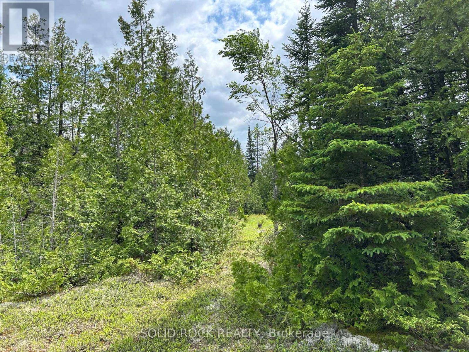 Mcnab/braeside, ON K0A1G0,0 MAST ROAD