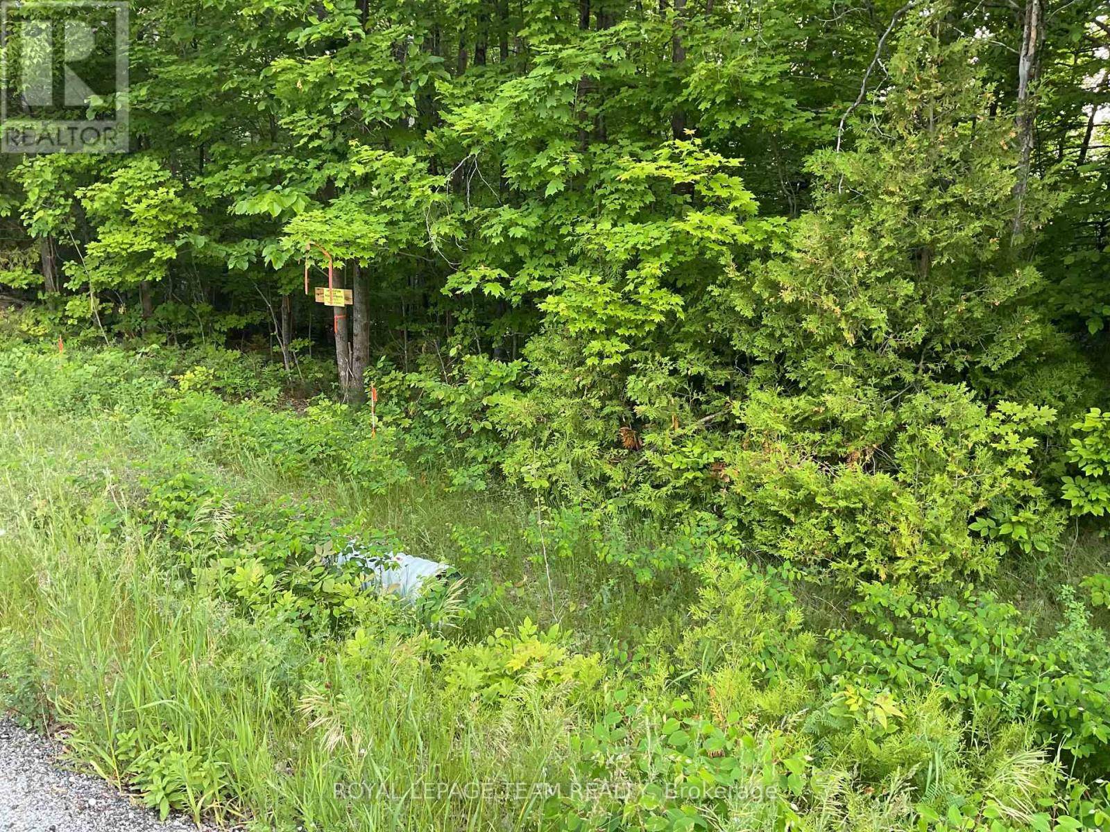 0 CTY RD 511 ROAD N, Lanark Highlands, ON K0G1K0