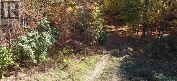 North Frontenac, ON K0H1K0,5069 ROAD 506