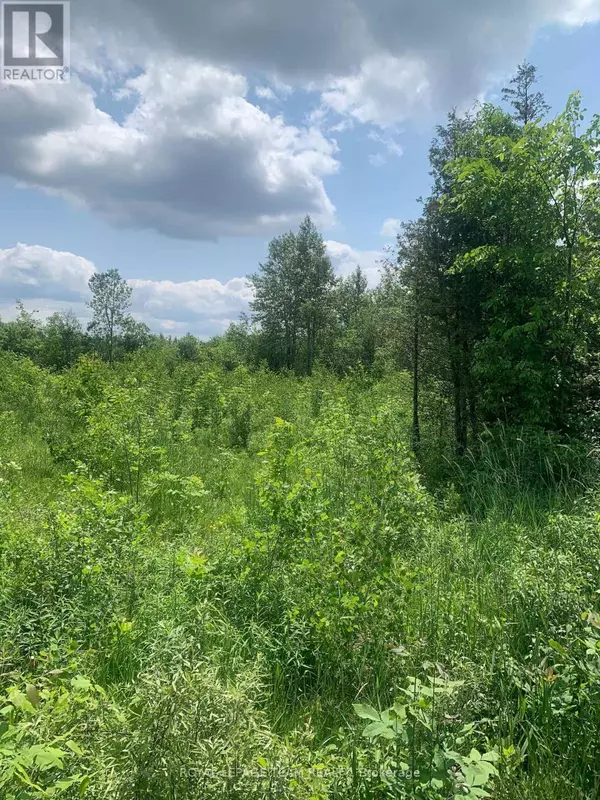 Merrickville-wolford, ON K0G1N0,CON7LT2 BOLTON ROAD