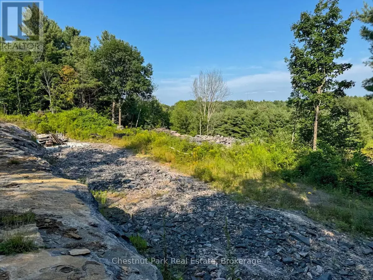 Bracebridge (muskoka (n)), ON P1P1R1,1681 MUSKOKA BEACH ROAD