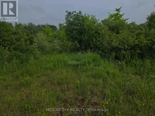 Southgate, ON N0C1B0,201 CON 2 SWTSR