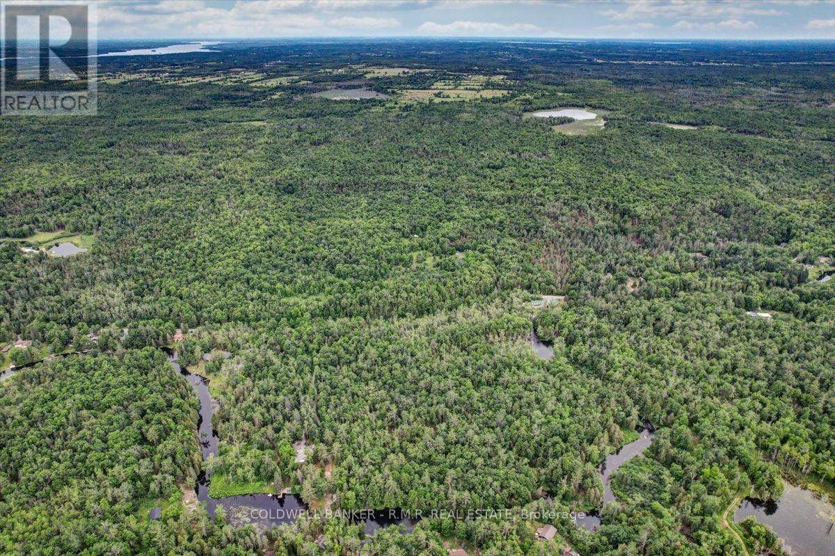 Trent Lakes, ON K0M1A0,N/A BASS LAKE ROAD