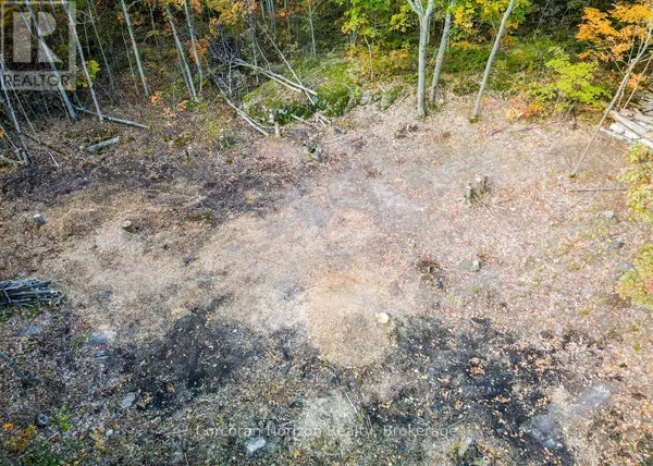 Georgian Bay (baxter), ON L0K1S0,87 CORRIEVALE RD #Lot A