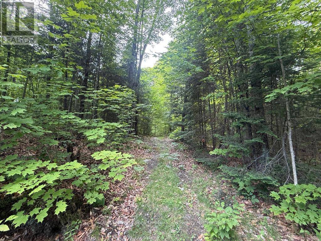 Ryerson, ON P0A1C0,1118 STONEY ROAD