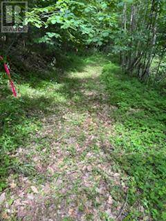 Frontenac (frontenac South), ON K7M0H2,1085 OLD MINE ROAD
