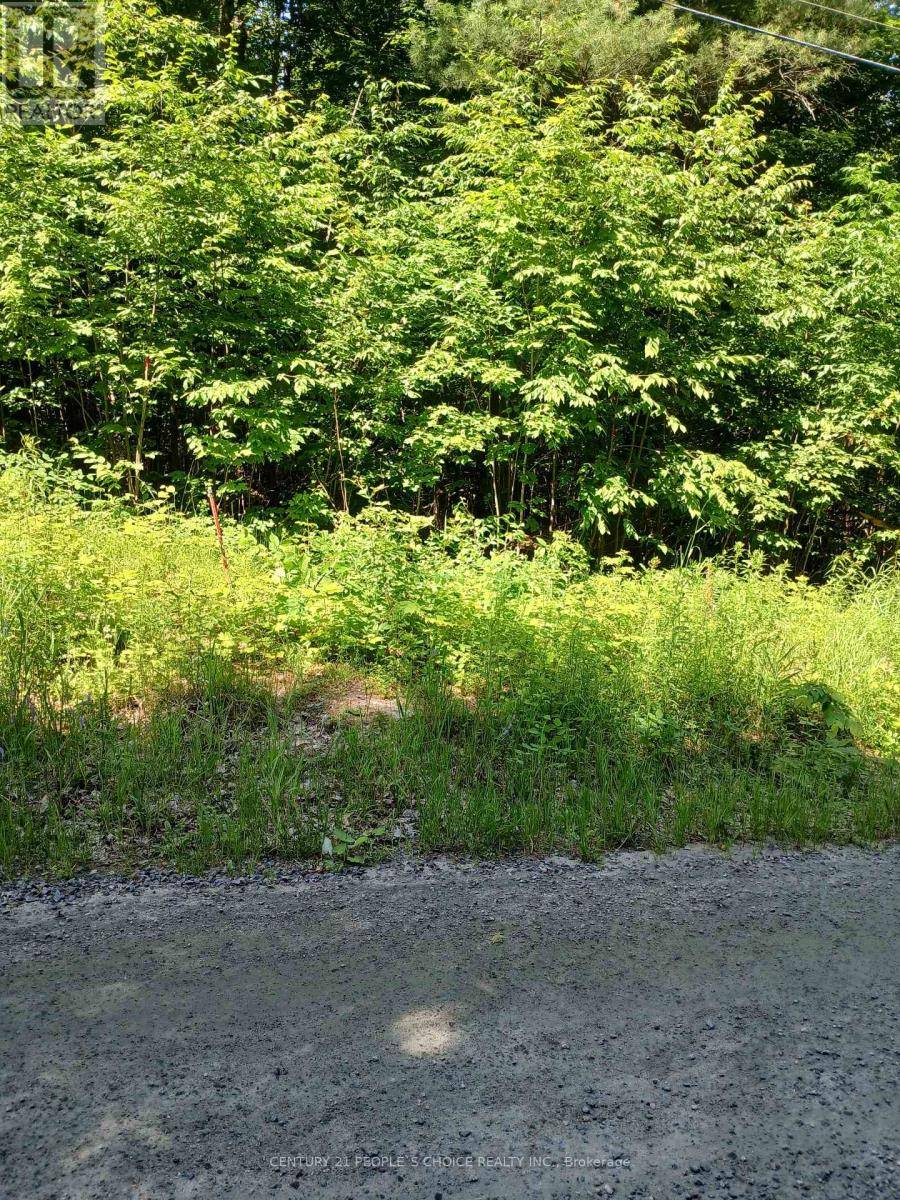 Minden Hills, ON K0M2K0,1055 PORKYS ROAD