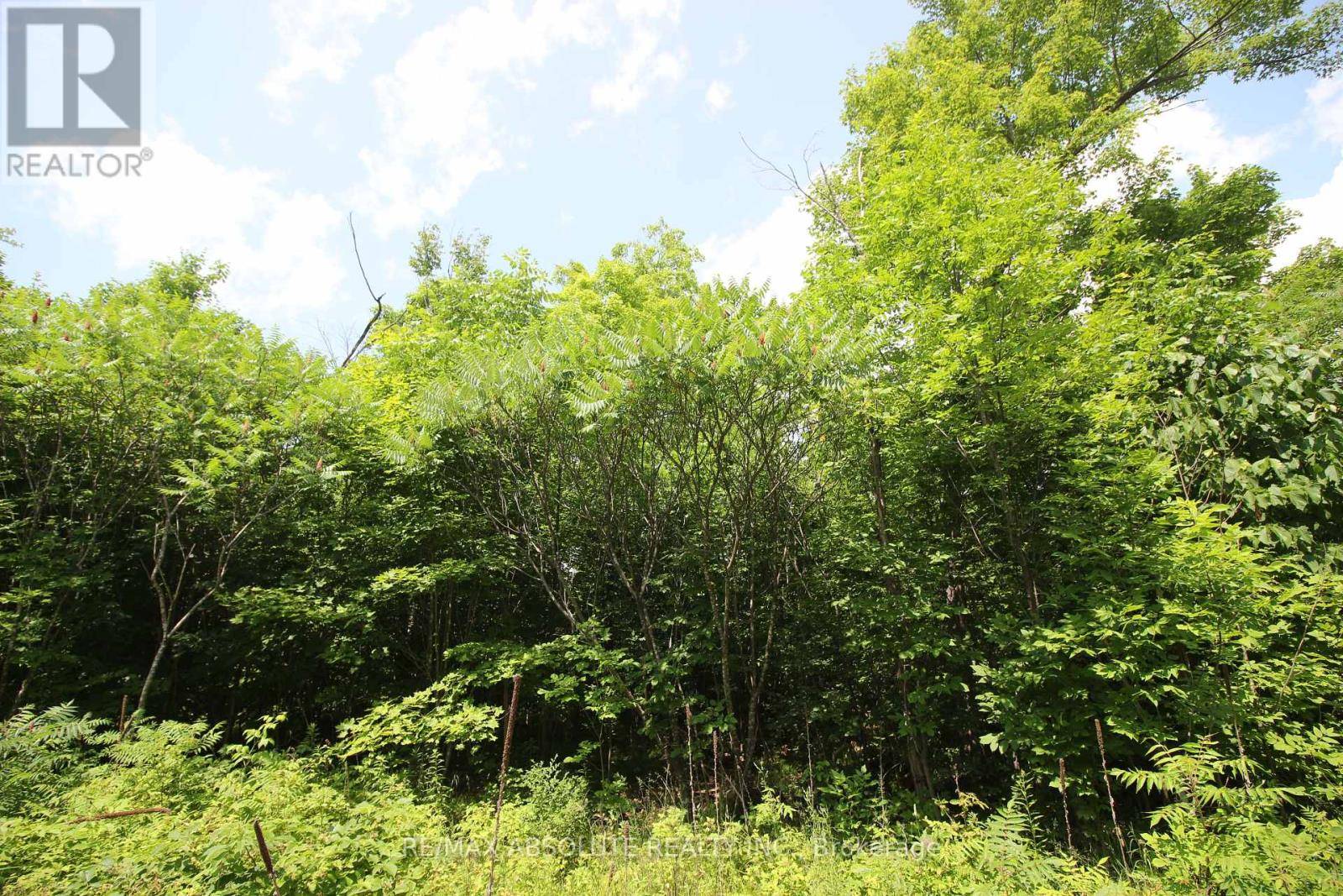 Mississippi Mills, ON K0A2X0,01 CARBINE ROAD