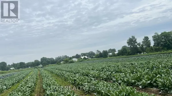 Newbury, ON N0L1Z0,11 TUCKER STREET