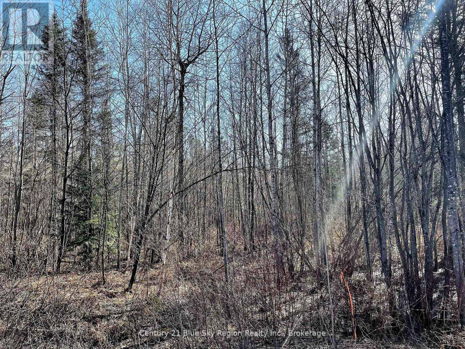 West Nipissing (river Valley), ON P0H1M0,PART 2 BOURBONNAIS ROAD