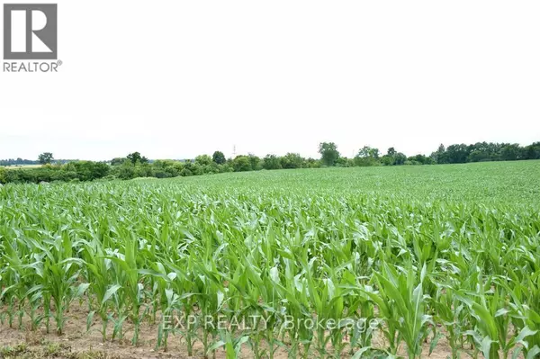 Chatham-kent (muirkirk), ON N0L1X0,15686 MUIRKIRK LINE