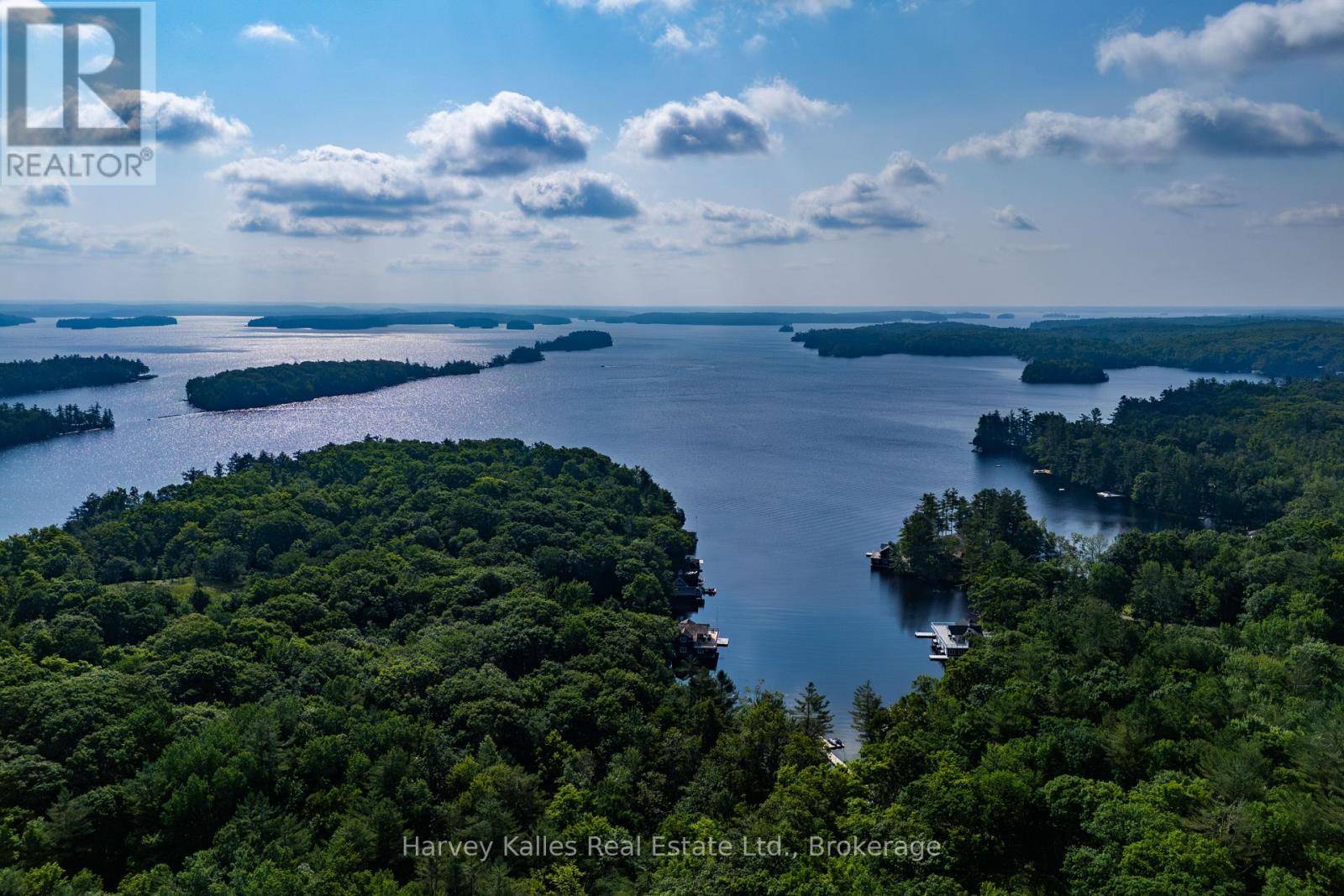 1254 Barlochan RD #4, Muskoka Lakes (wood (muskoka Lakes)), ON P1P1R2