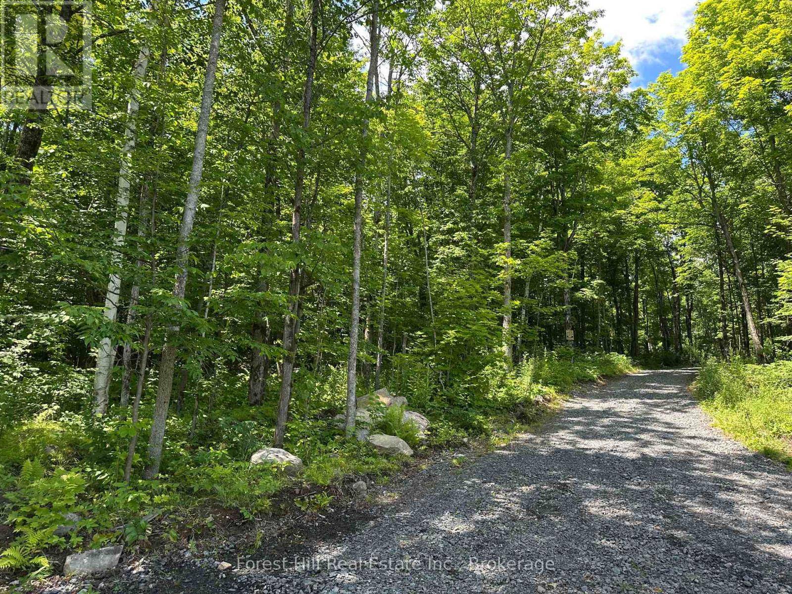 Parry Sound Remote Area (golden Valley), ON P0H1N0,0-3 JACKS LAKE