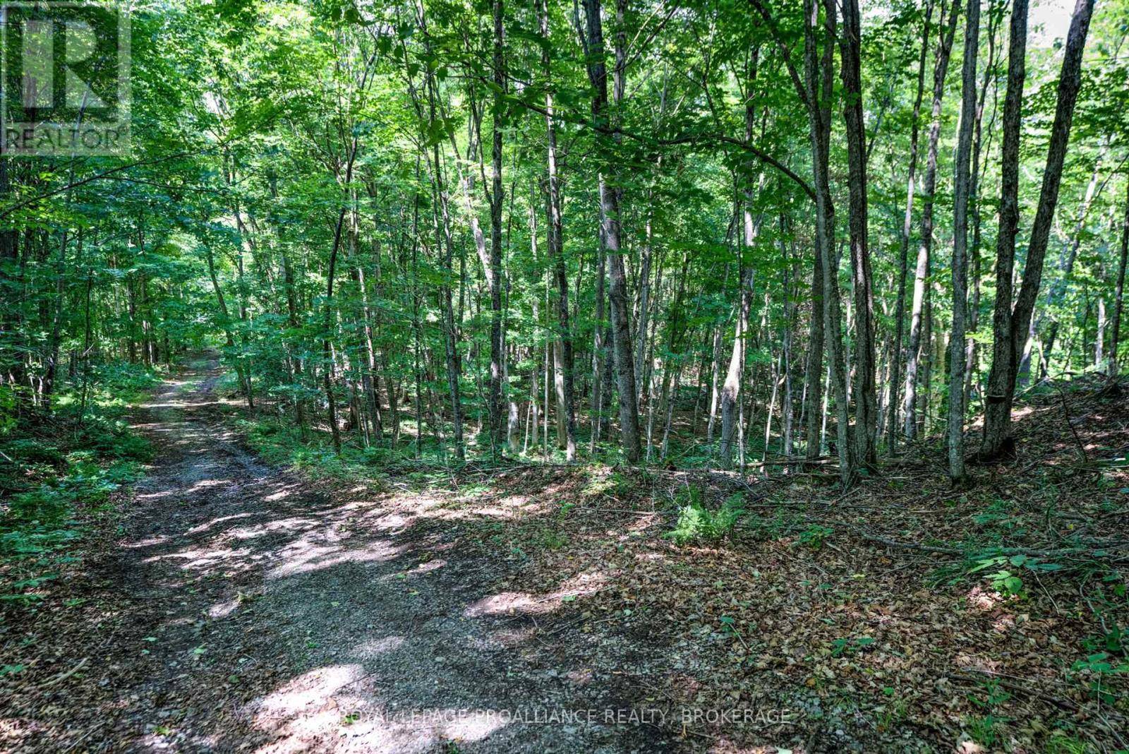 Rideau Lakes, ON K0G1X0,98 ROCKY RIDGE LANE