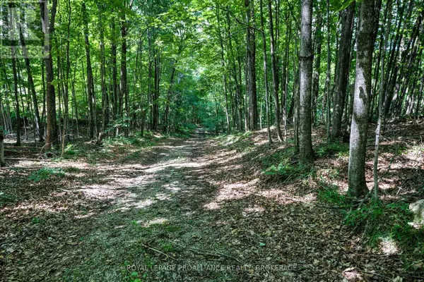 Rideau Lakes, ON K0G1X0,98 ROCKY RIDGE LANE