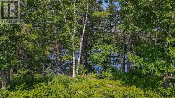 Madawaska Valley, ON K0J1B0,0 LAKEVIEW PARKWAY N