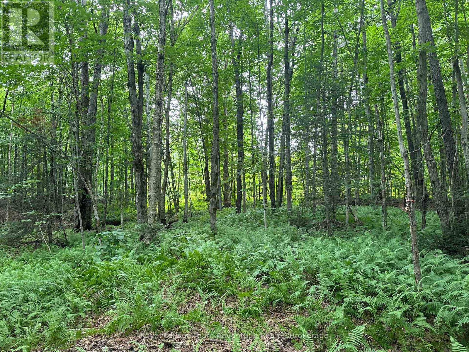 Carling, ON P0G1G0,54 WOODS ROAD