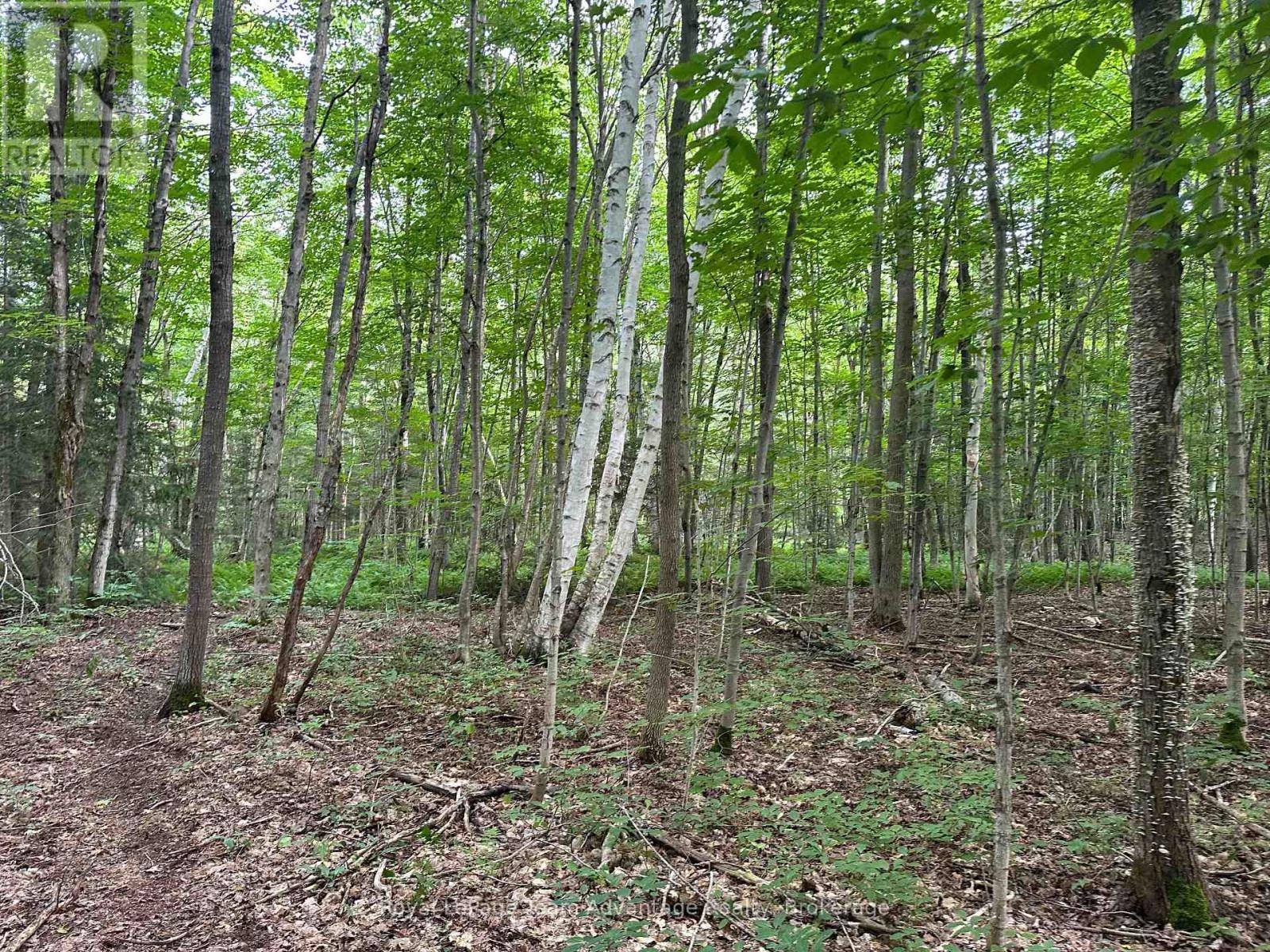 Carling, ON P0G1G0,54 WOODS ROAD