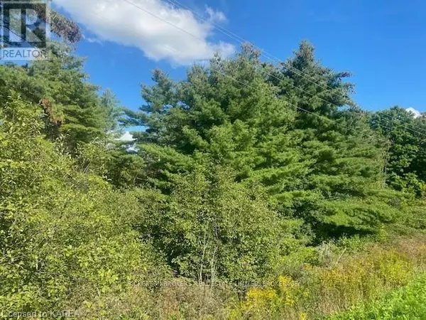 Rideau Lakes, ON K0G1E0,000 COUNTY RD 11, JONES FALLS ROAD