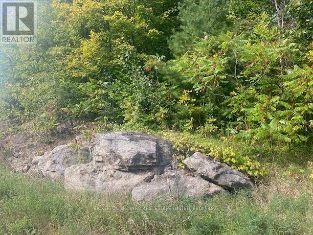 Rideau Lakes, ON K0G1E0,000 COUNTY RD 11, JONES FALLS ROAD