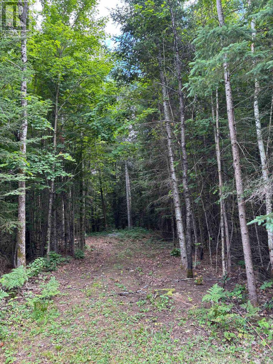 Wollaston, ON K0L1P0,393 ROSE ISLAND ROAD