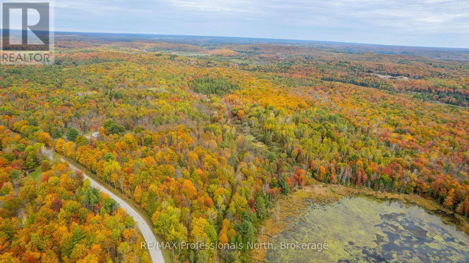 Minden Hills (minden), ON K0M2K0,1600 BOBCAYGEON ROAD