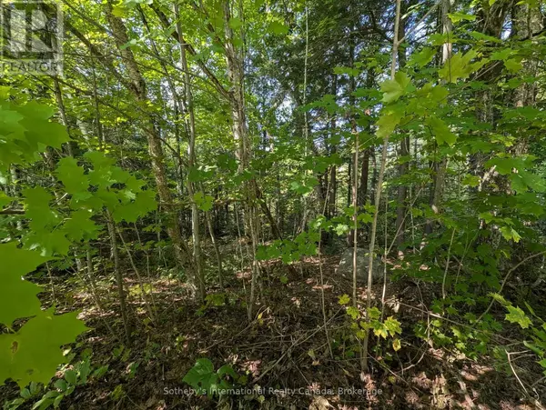 Bracebridge (draper), ON P1L1X1,1031 HAVEN ROAD